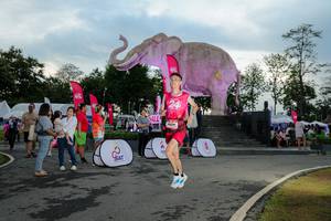 BIB: 
                            <button type="button" onclick="openModal(26529352)" class="btn btn-primary btn-sm float-right btn-popup" data-toggle="modal" data-target=".modal-high-quality">
                        <i class="fas fa-shopping-cart"></i> Add to Cart
                    </button>
                                            <button type="button" onclick="isThisMe(26529352, true)" class="btn btn-success btn-sm float-right btn-popup btn-isme hidden" data-toggle="tooltip" data-placement="bottom" title="นี่คือรูปของคุณใช่ไหม คลิกที่นี่เพื่อเอาเข้าอัลบั้ม">
                        <i class="fas fa-plus"></i> Add to album
                    </button>
                    <button type="button" onclick="isThisMe(26529352, false)" class="btn btn-warning btn-sm float-right btn-popup btn-isnotme hidden">
                        <i class="fas fa-ban"></i> Remove from album
                    </button>